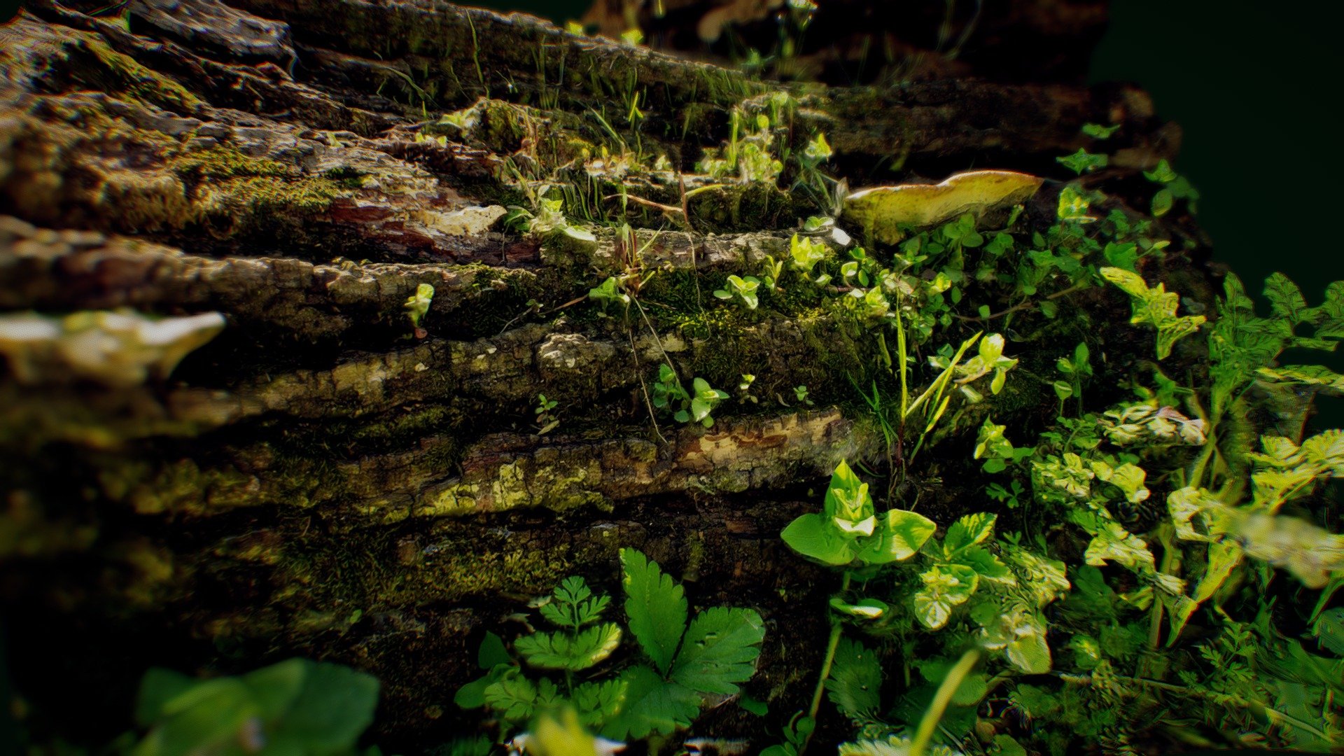 Messy Mossy Log Scan