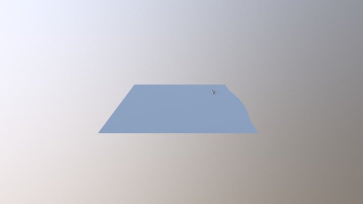 Surface 3D Model