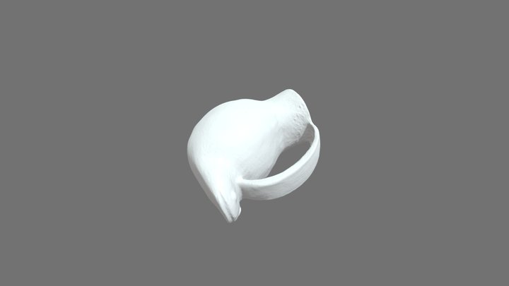 metahue draft 3D Model