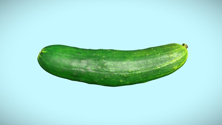 Cucumber - var.  Dasher II 3D Model