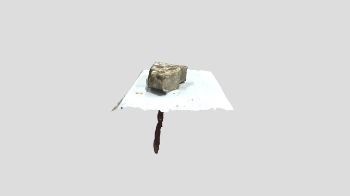 Isotelus gigas 3D Model