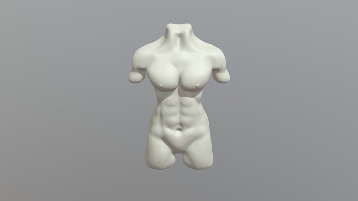 Sculpt January|| Female Torso 3D Model