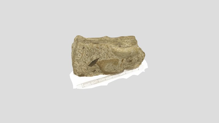 Sample 9 3D Model