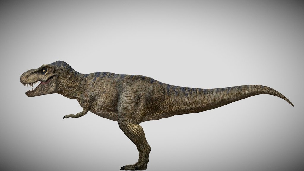 Rexy