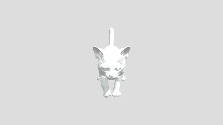 Cat with a Vest (V2)