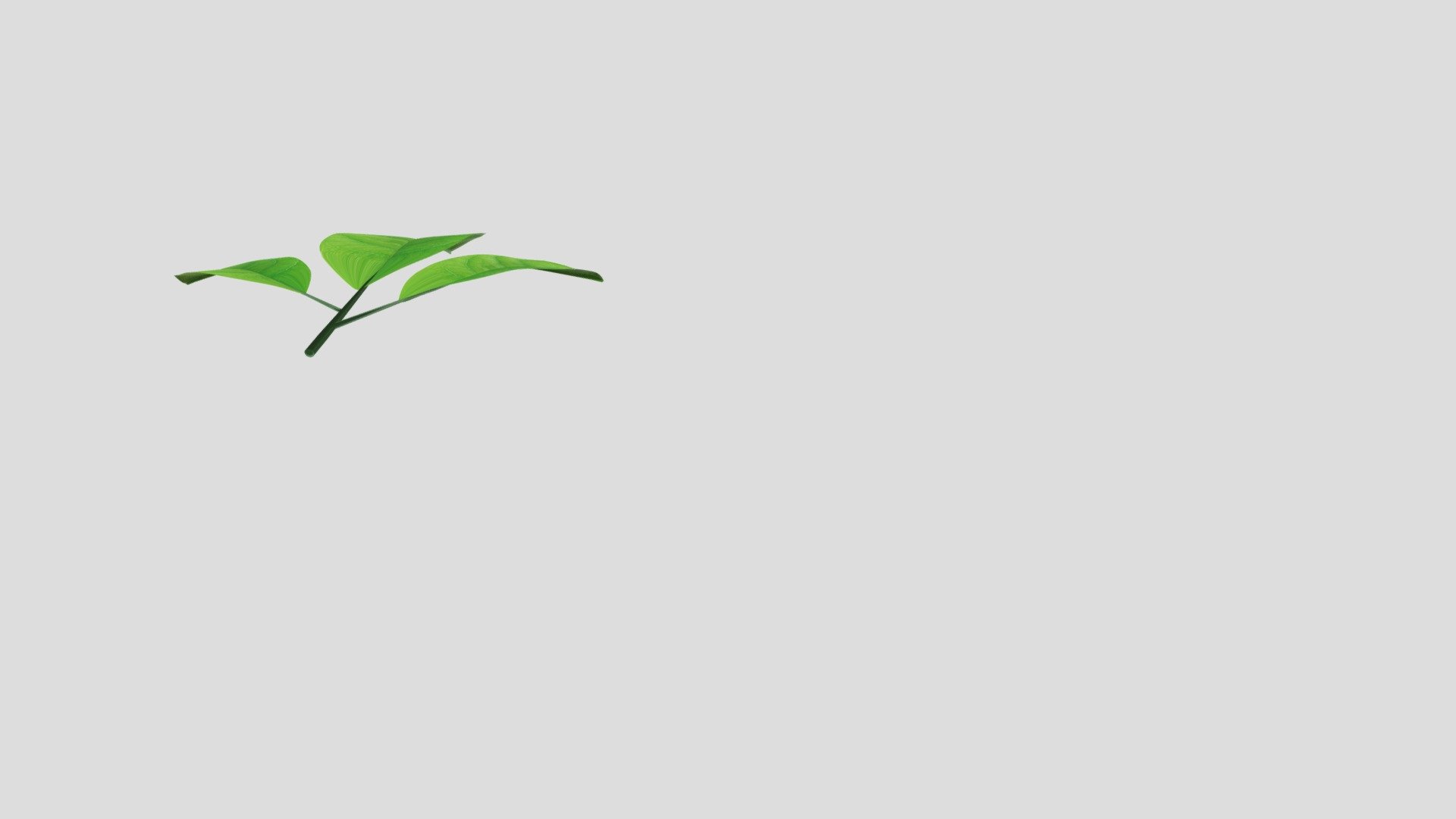 Tree Leaf Green Leaves 3 leaf model - 3D model by Udayendu [e59ed62 ...