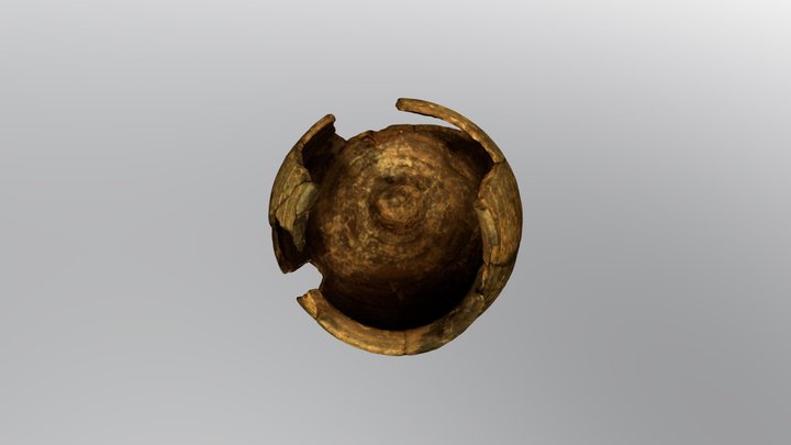 Modelo 3D 3D Model
