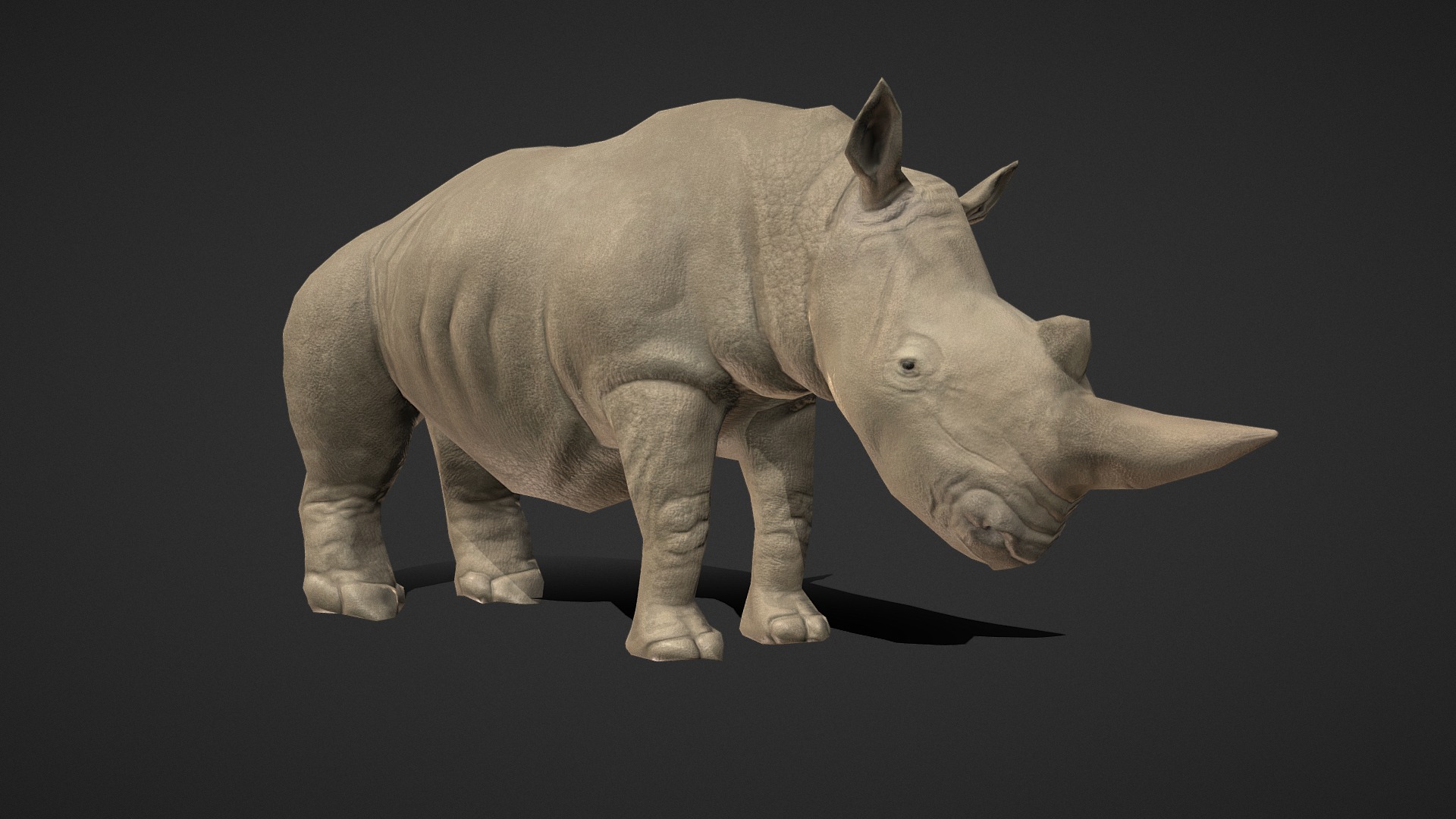 3D model PBR Black Rhino - This is a 3D model of the PBR Black Rhino. The 3D model is about a statue of a rhino.