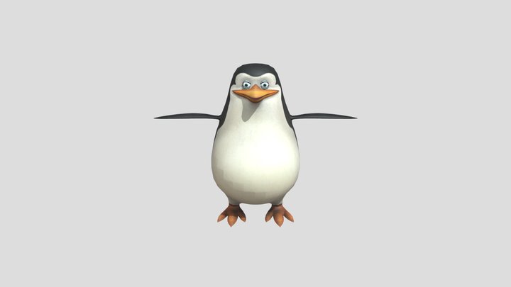 Private 3D Model