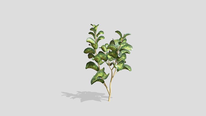 Tropical Plant 2 – Modello 3D gratuito STL