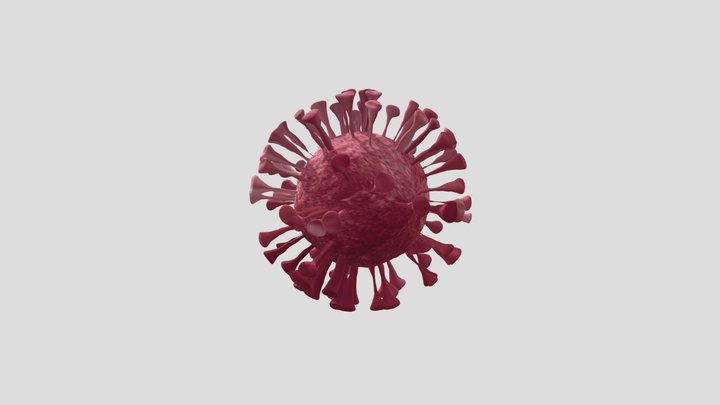 Coronavirus 3D Model