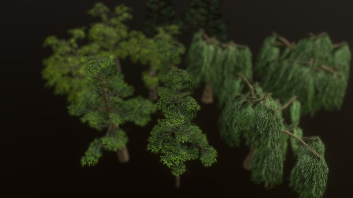 Lowpoly alpha trees 3D Model