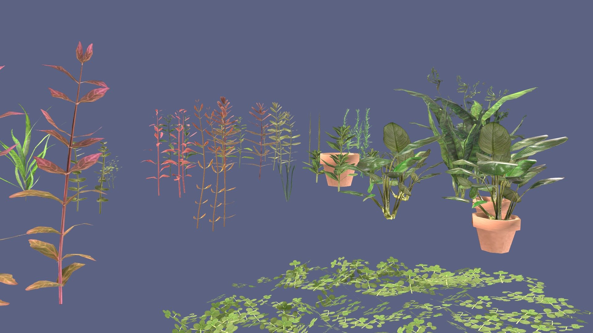 22 types of aquatic plants for Metaverse - 3D model by MEA AQUA ...