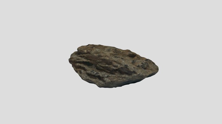 Meta display andu schist 3D Model