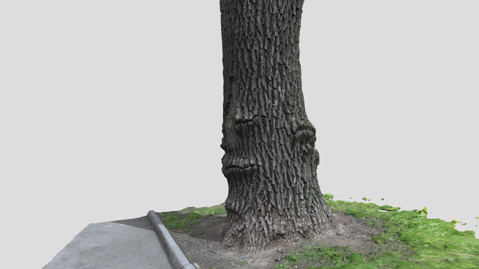 The Ent in Lipetsk city's Upper Park
