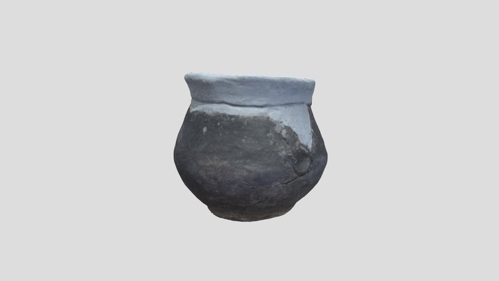 Vasija de la Cultura Agrelo (1800-800 AP) 3D Model