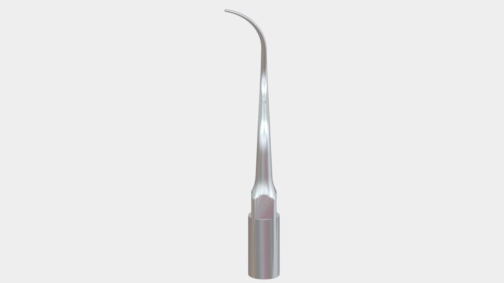 Tip-P2D 3D Model