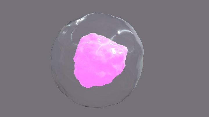 Cell 3D Model