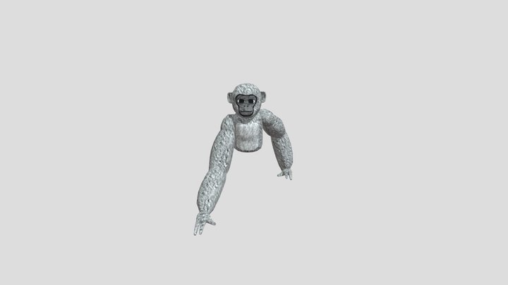 Gorilla Tag Player Model 3D Model