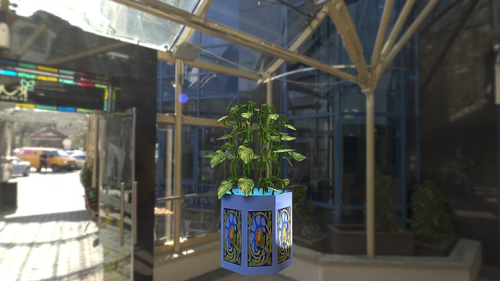 Money Plant 3D Model