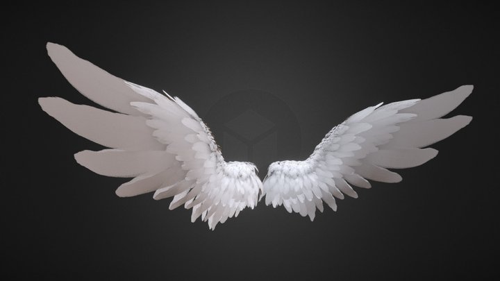 Angel Wings | Lowpoly | Flapping Animation 3D Model