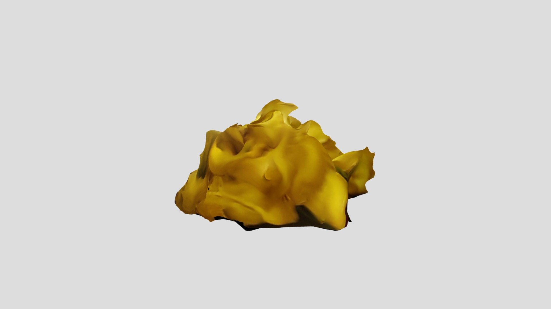yellow flower