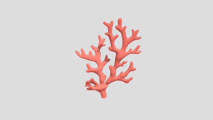 Coral 3D Model
