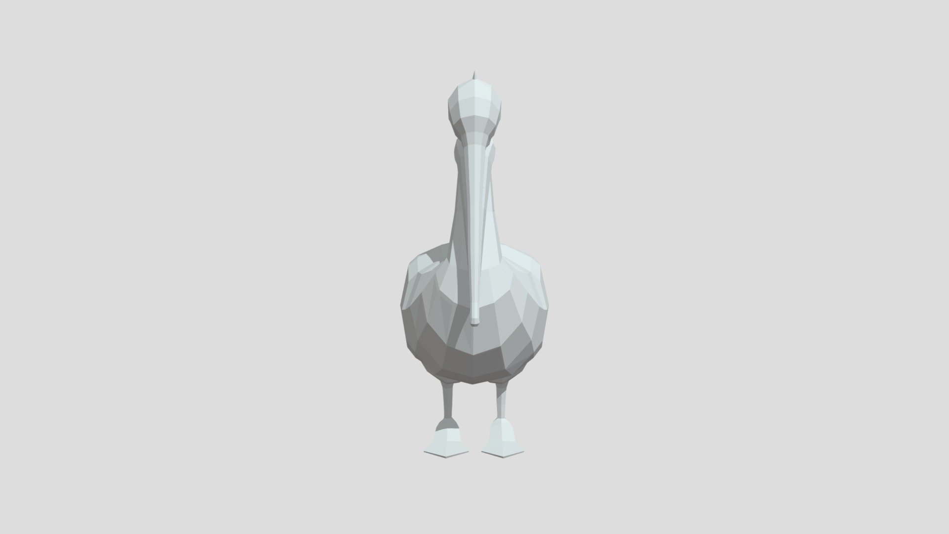 American White Pelican from Poly by Google