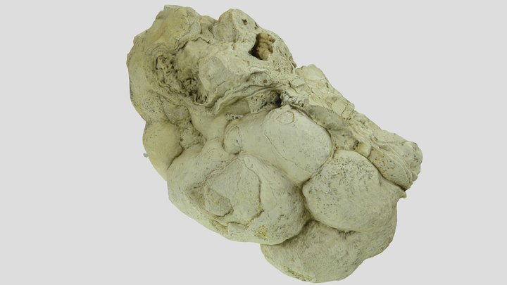 Algal concretion, Germany