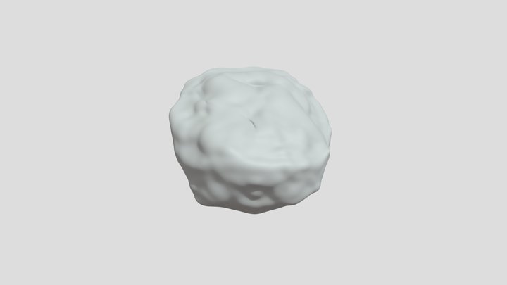 My model 3D Model