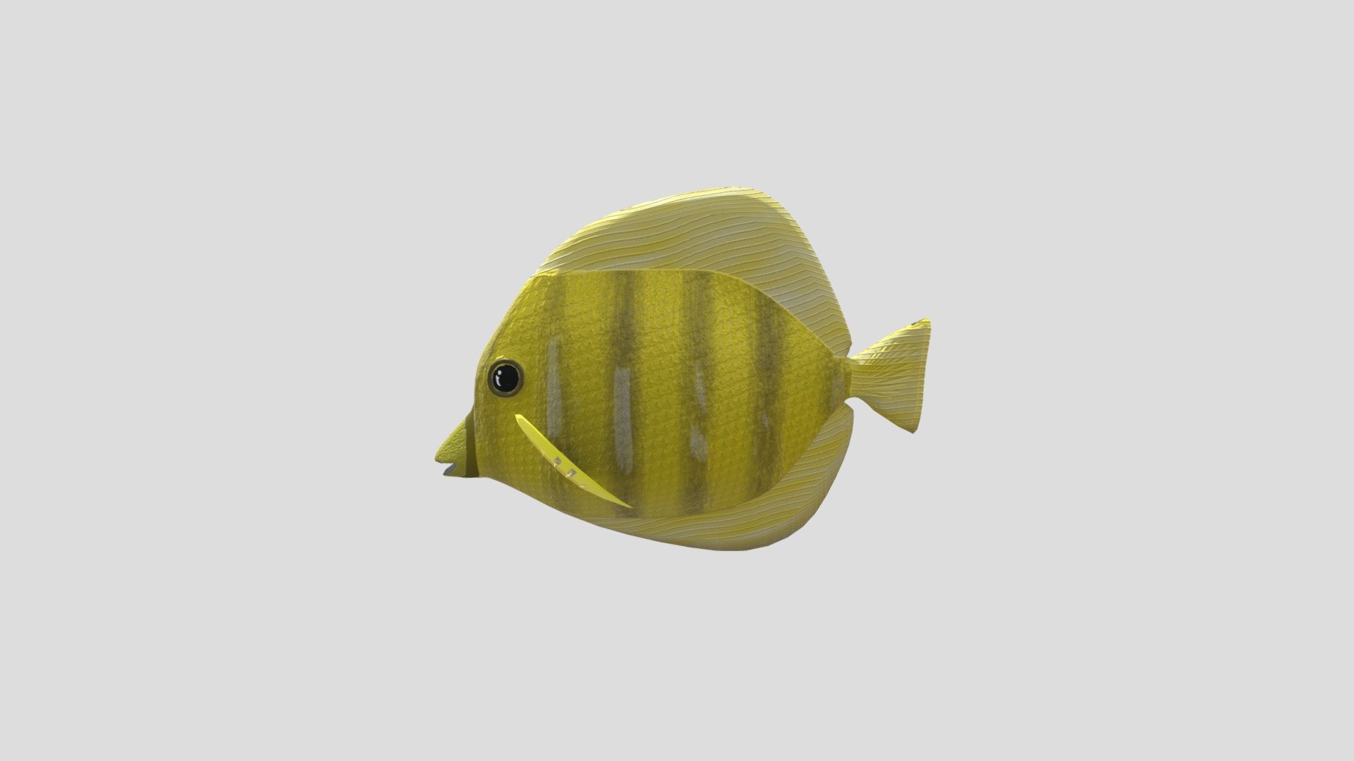 Fishy