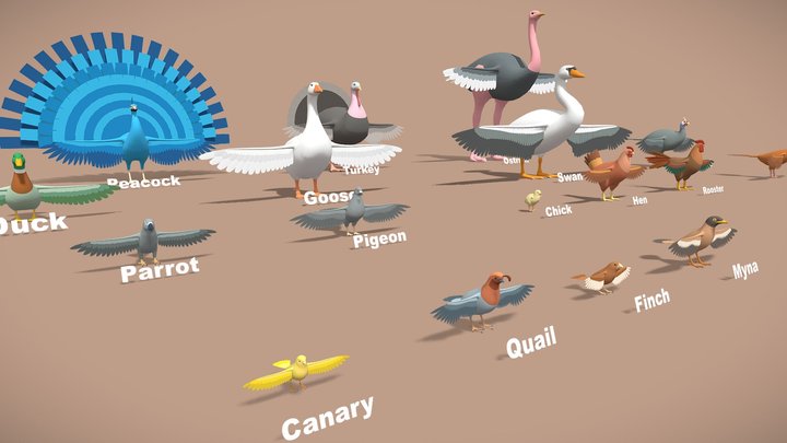 Birds lowpoly - Animals pack 3D Model