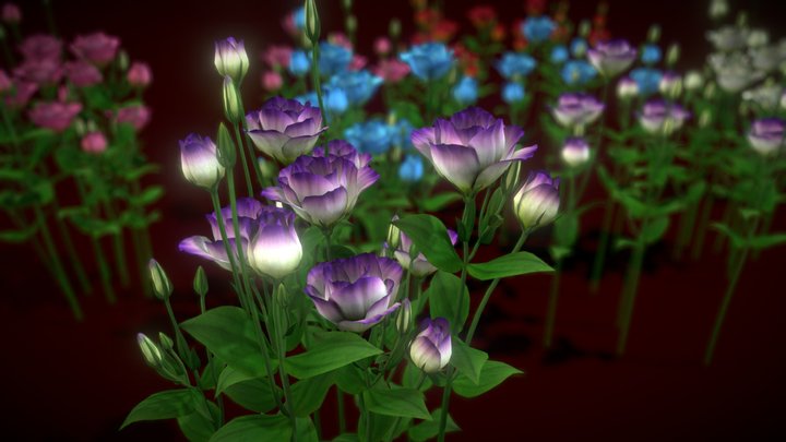 Flower Lisianthus 3D Model