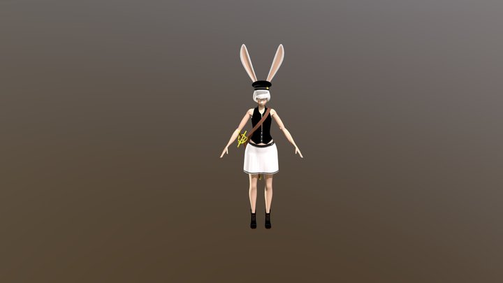 DLS - Alpha Broken 3D Model