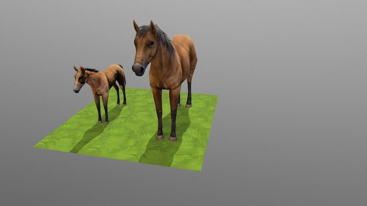 Horse Big & Small 3D Model