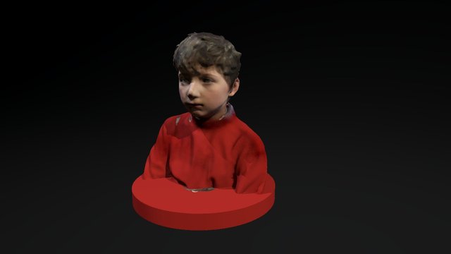 3D scan of a boy for a painting 3D Model