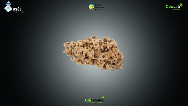 Roche - Calcaire récifal. – Kostenloses 3D-Modell STL