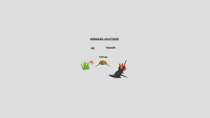 Animales Acuaticos 3D Model