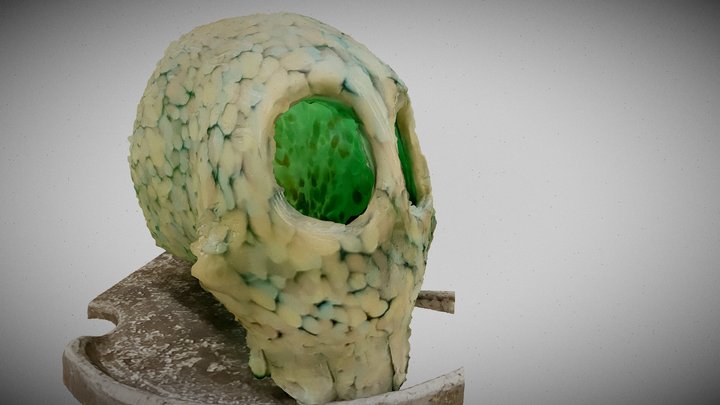Zack Green Skull Scan 2022-12-24T20:06:22.633Z 3D Model