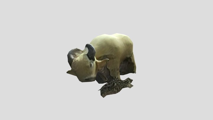 Cattle 3D Model