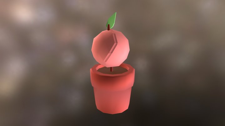 Peach Fruit 3D Model