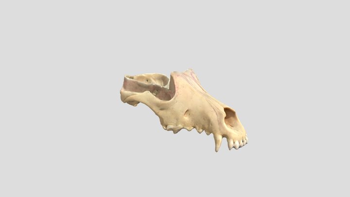 01 3D Model