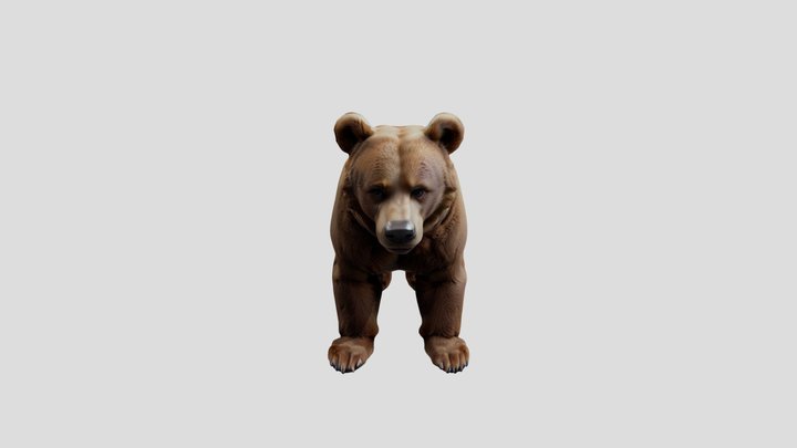 3D brown bear model, transparent background 3D Model