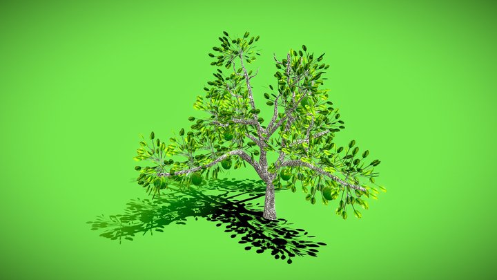 Apple Tree – Free 3D Model STL