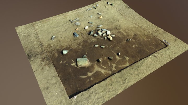 SOY-2017-BB1Top 3D Model