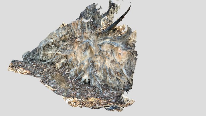 Tree Throw 3D Model