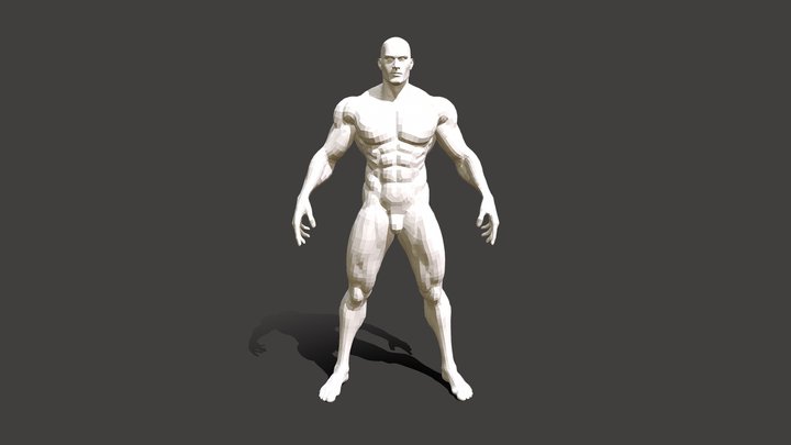 Muscular Basemeshes, low & high poly, rigged 3D Model