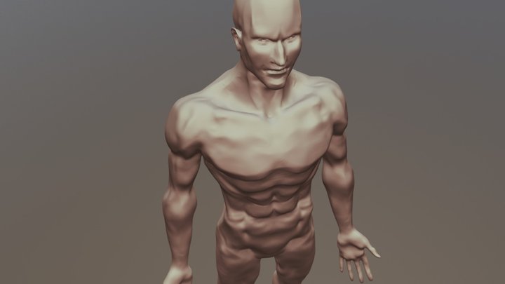 Man Anatomy 3D Model