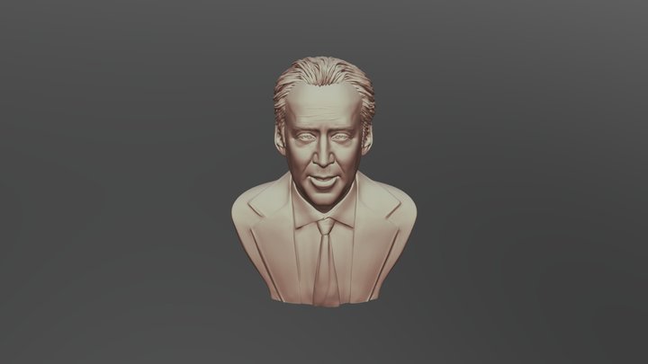 Nicolas Cage 3D printable portrait model 3D Model