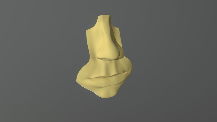 Mouth/Nose 3D Model